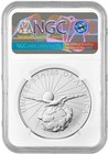 2026 Best Of The Mint Flowing Hair Silver Medal Ngc Sp69 Fdi First Day