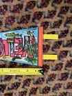 Vintage Neon Yellowstone National Park Pennant Flag Souvenir