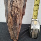 Long Driftwood Branch Woodworking  Diy Craft Wood 