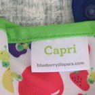 Blueberry Capri Snap Cloth Diaper Covers Lot Of 4 Size 2 Multicolor