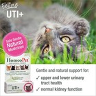 Homeopet Feline Uti Plus  Safe And Natural Urinary Tract Medicine For 