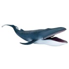 Blue Whale Shark Action Figure  Sea Life Shark Animal Figurine  Realistic Mar   
