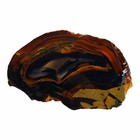 Piranha Agate Slab - Dark Gothic Brazilian Agate - South America