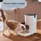 Cat Feeder  6l Reliable Automatic Cat Food Dispenser With Display Lcd Screen Fo
