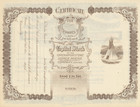 Chickamonstone Copper Mining Co Stock Certificate  bull River Canyon  1900s 