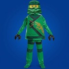 Lloyd Deluxe Lego Ninjago Ninja Toy Fancy Dress Up Halloween Child Costume