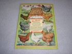 Antique Farm Hardware Book Catalog Fences Barbed Wire Tools Horse Saddles 1933