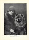 1930s Vintage Chow Print Amwell Kennel Chow Lady Faudel Phillips 4730j