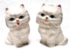 White Fluffy Fat Kitten Cat Salt Pepper Shakers 3  Japan Vintage Great Shape