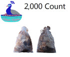 2000 Large Live Mealworms -  Free Priority Shipping 