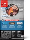 Orijen Original Grain-free Dry Dog Food  23 5 Lb Bag     High Protein All Life