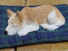 Sandicast  lil Snoozer  Red Siberian Huskey Puppy  igloo  W bed Sandra Brue  Nr