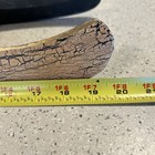 Hand-carved Balinese Mask - Sejati Environmental Trading Co  - Unique Decor 