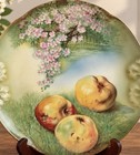Antique Alice Bavaria Hand Painted Porcelain Apple Blossom Scenic Handled Plate