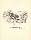 Vintage Cairn Terrier Print Shakespeare Henry V Quote Print 7065a