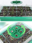 1set 12-cell Seed Starter Tray With Led Grow Light Germination Kit