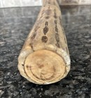 Cholla Cactus Wood Rain Stick Vintage 20-inch