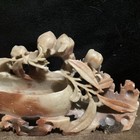 Antique Ancient Chinese Hand-carved Soapstone Figurine Of Bowl And Leaves