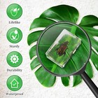 50 Pcs Insect In Resin Specimen Various Bugs Collection Paperweights Bug Kit
