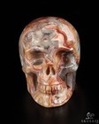 Gemstone 2 0  Red Crazy Lace Agate Hand Carved Crystal Skull  Realistic