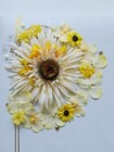 White Gold Scrapbook Album 12x12 10 Loaders Wedding Embellished Floral Yellow