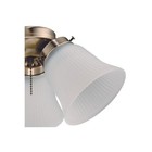 Westinghouse Antique Brass Led Cluster Ceiling Fan Light Kit