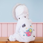 Dog Winter Coat With Stylish Hoodie     Warm And Casual Pet Apparel