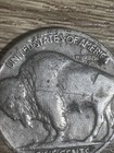Wounded Speared Buffalo 1935 Nickel 