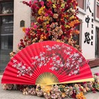 Huge Decorative Folding Fan