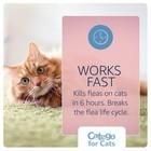 For Cats Flea And Tick Treatment   Prevention  over 1 5 Lbs  3-month Supply