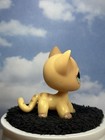Littlest Pet Shop 886 Lps Authentic Yellow Brown Shorthair Cat Aqua Blue Eyes