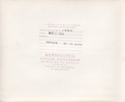 1946 Us Navy Curtiss Sb2 Fuselage Antenna Damage Photo Martha s Vineyard Buno 83