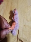 Little Live Pets Scruff Foldable And Combable Live Pet