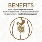 Garden Of Life Primal Defense Ultra Ultimate Probiotic Formula 