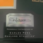2002 Playoff Absolute Memorabilia Carlos Pena Autograph   Signed Jersey Number 