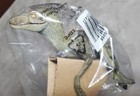 Rare Brand New In Sealed Bag With Tags Retired 2016 Papo Green Velociraptor 