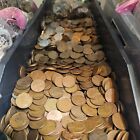 100 Unsearched Wheat Penny Lot   Free Shipping    