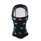 Toddler Ski Balaclava Kids Winter Face Cover 2-8 Years A-navy Little Dinosaur