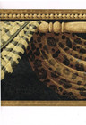 5 Village Brown Leopard Tiger Print Swag Wallpaper Border Rolls 9  X 15 