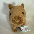 Ganz 2026 Webkinz Next Capybara New Wk00036 Dual 2 Adoption Codes Gen3