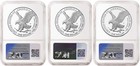 3 Coin Set  2025 Silver Eagles 250th Anniversary Privy Ngc Pf70 Fdoi 250 Presale