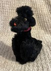 Vintage Steiff Black Poodle  snobby   9   Ear Button And Tag  Beauty 