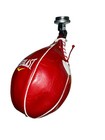 Everlast Mx Leather Speed Punching Bag
