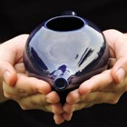 Healthgoodsin Ceramic Neti Pot  10 Count  pack Of 1   Elegant Violet
