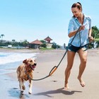 Puppydoggy Dog Leash For Small To Medium Dogs 6 Ft With 3 Reflective Stitching