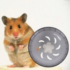 Hedgehog Wheel Cat Running Silent Hamster Exercise Wheels For Chinchillas