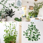 60pc Plant Climbing Wall Fixture Clips Self-adhesive Plant Fixer For Wall Vines