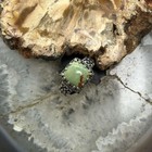 Carolyn Pollack Sterling Silver Square Green Turquoise Ring Size 7 For Women