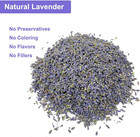 Dried Lavender Flowers     2lb Bulk Natural Lavender Buds Perfect For Wedding Toss