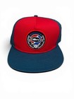 Dogfish Head Brewery X Grateful Dead Blue Red Baseball Cap Hat Snapback  